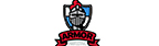Armor Poly