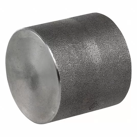 304 Stainless Steel Cap, FNPT, 1/2Inch Pipe Size - Pipe Fitting