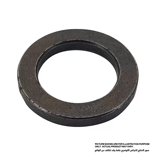 Ring #21, For BHR202, BHR241, BHR261, BHR262, DHR165