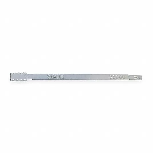 Metal Strap Seals, Silver, PK 50